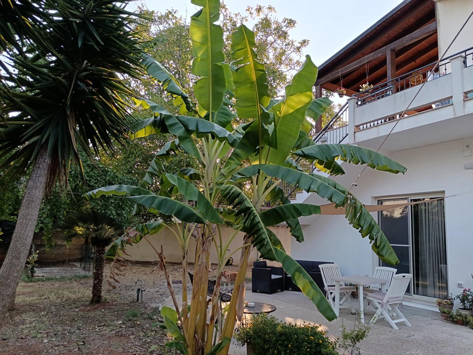 La Casa Del Noce Villa Ruffano Dış mekan fotoğraf