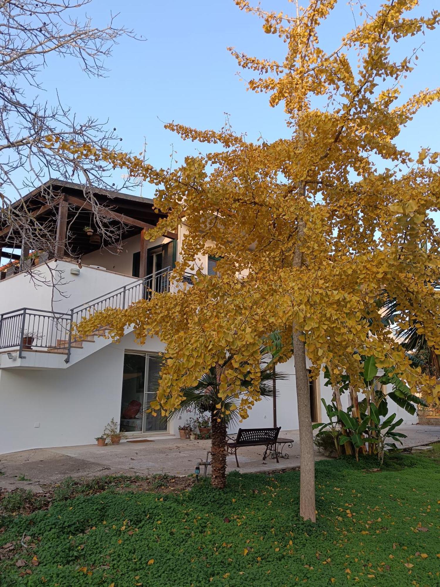 La Casa Del Noce Villa Ruffano Dış mekan fotoğraf